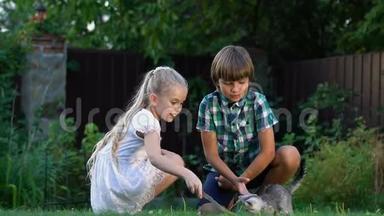 可爱的孩子们在户外和小猫玩耍，童年最美好的时刻